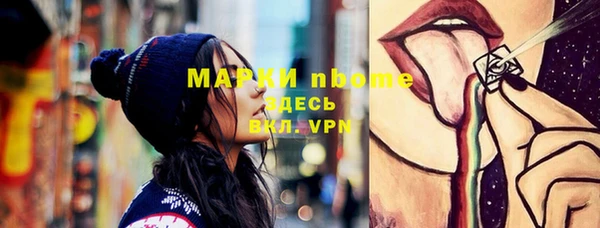 индика Богданович