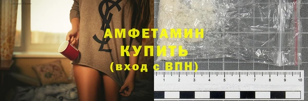 индика Богданович