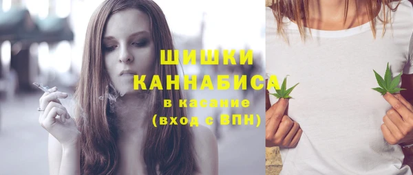индика Богданович