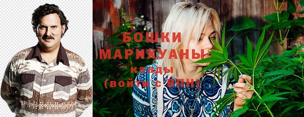индика Богданович