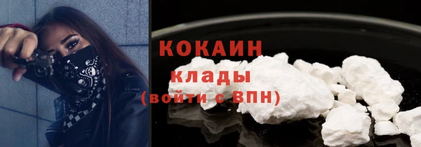 индика Богданович