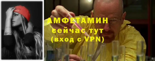 индика Богданович