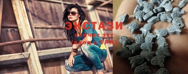 индика Богданович