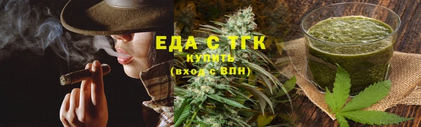 индика Богданович