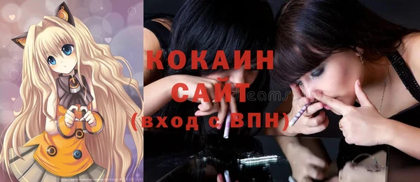 дмт Богородицк