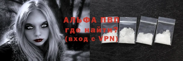индика Богданович